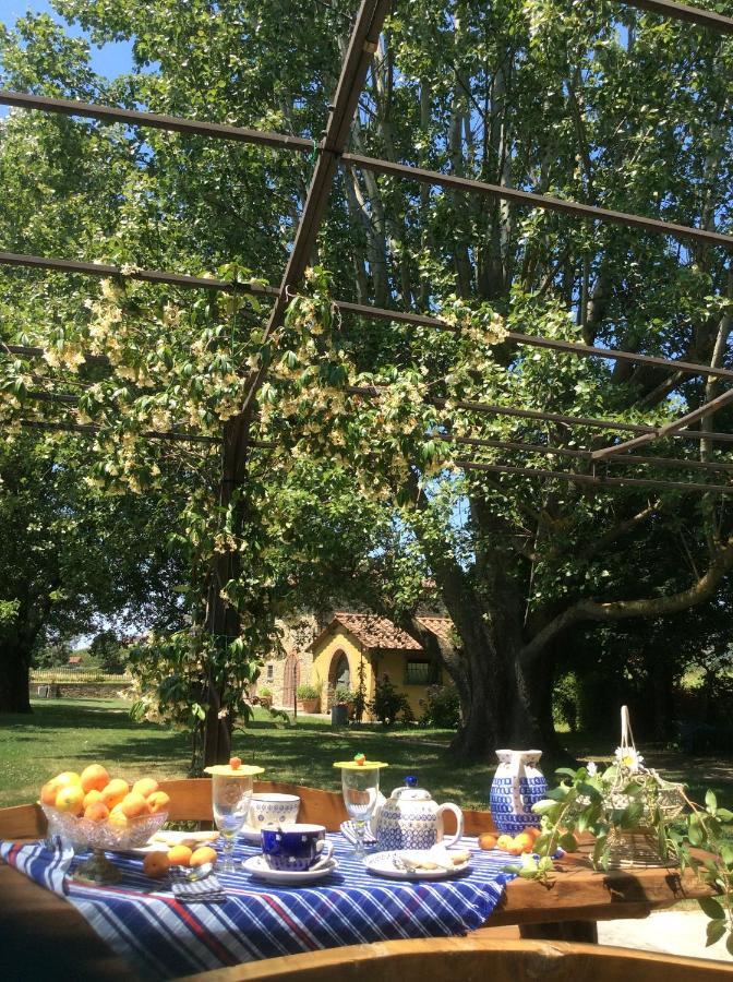 Villa Podere Il Giardino Castiglion Fiorentino Dış mekan fotoğraf